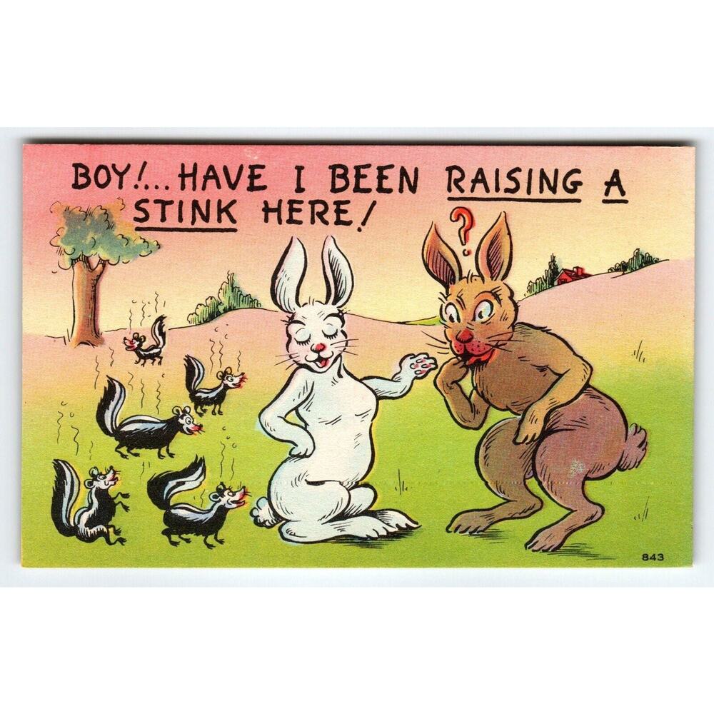 Boy Have I Been Raising A Stink Here Rabbits Skunks Linen Comical Postcard